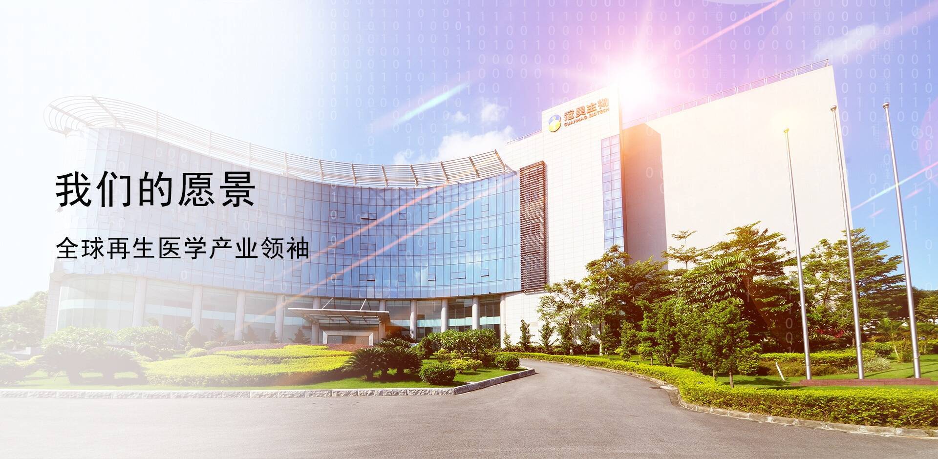 bob电竞官方网站