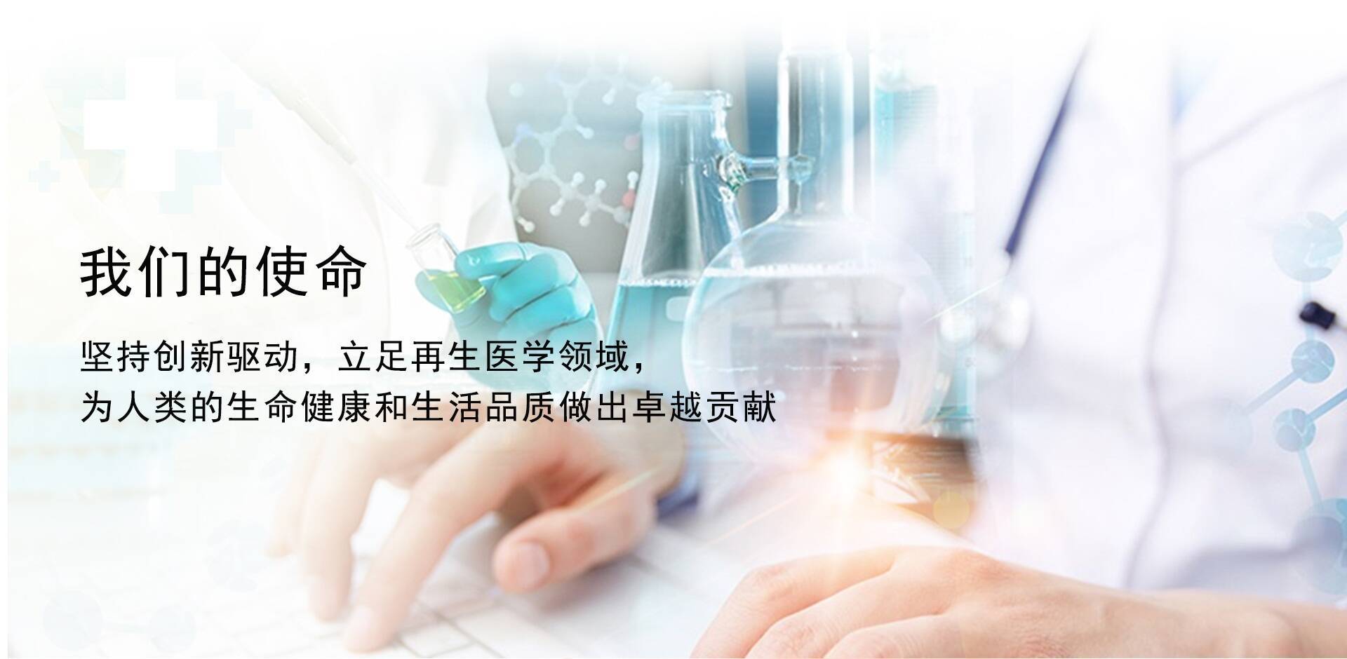 BOB综合登录平台